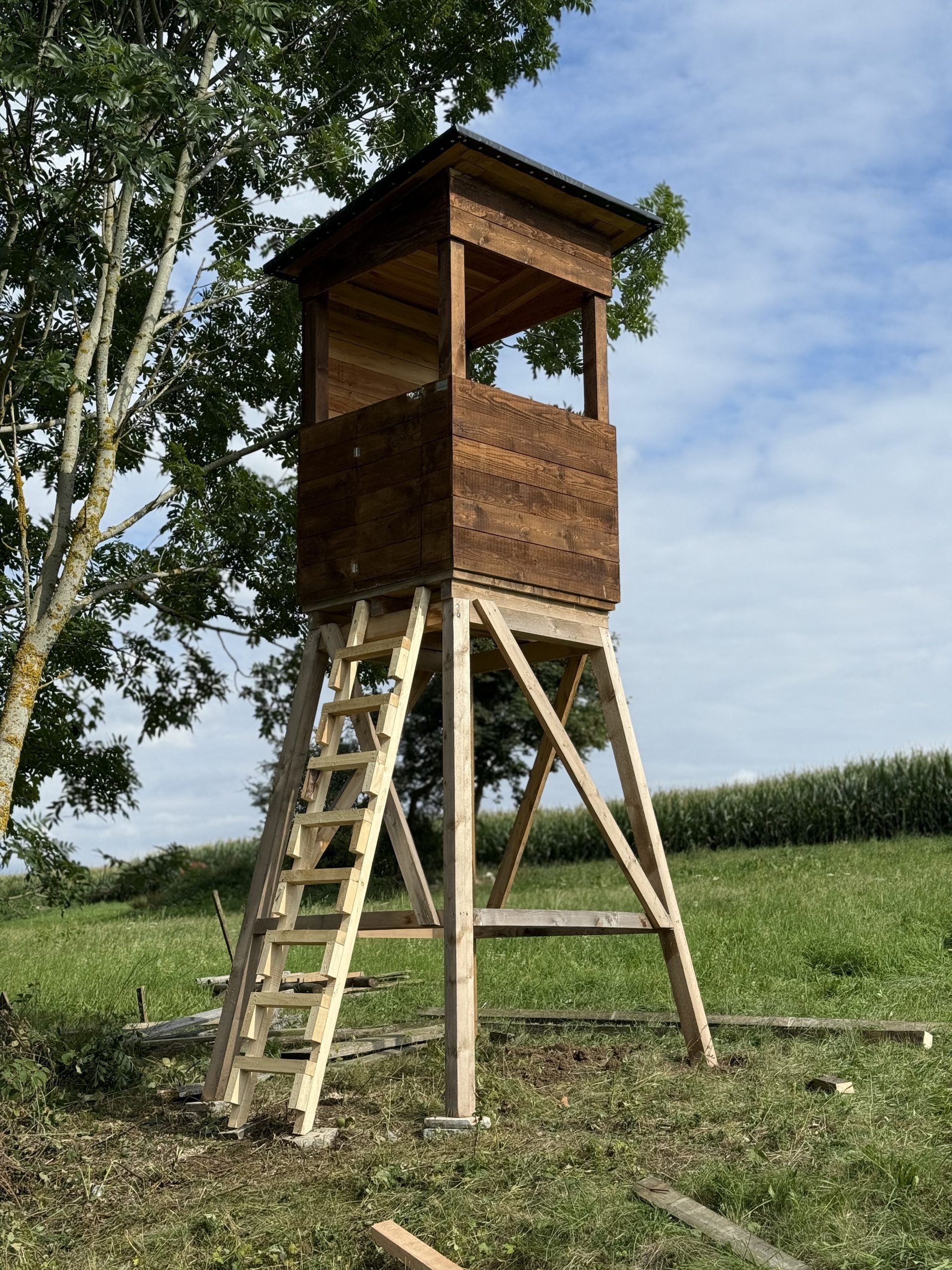 Holzbau Deckenpfronn