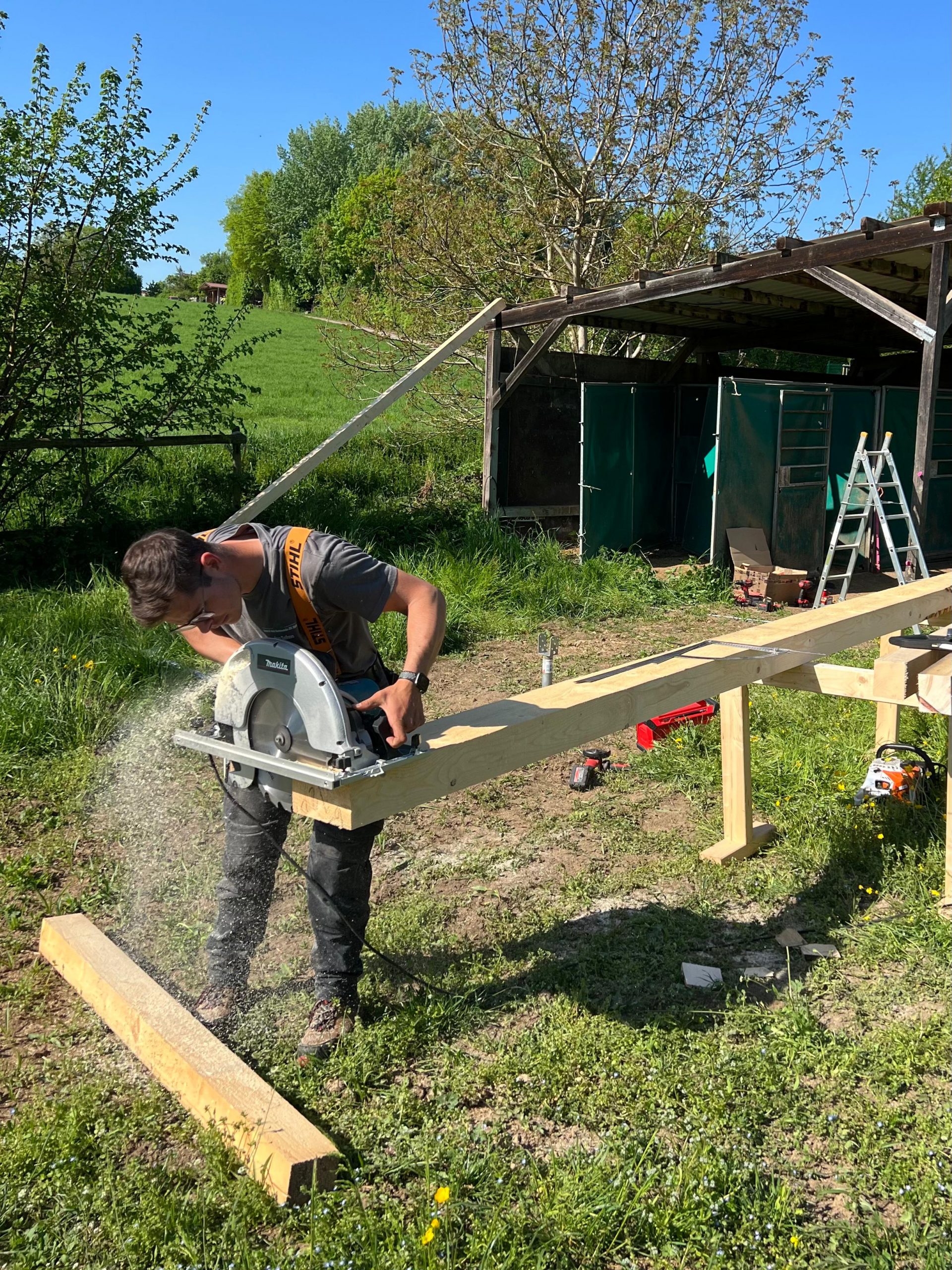 WhatsApp Image 2025-09-25 at 17.38.45