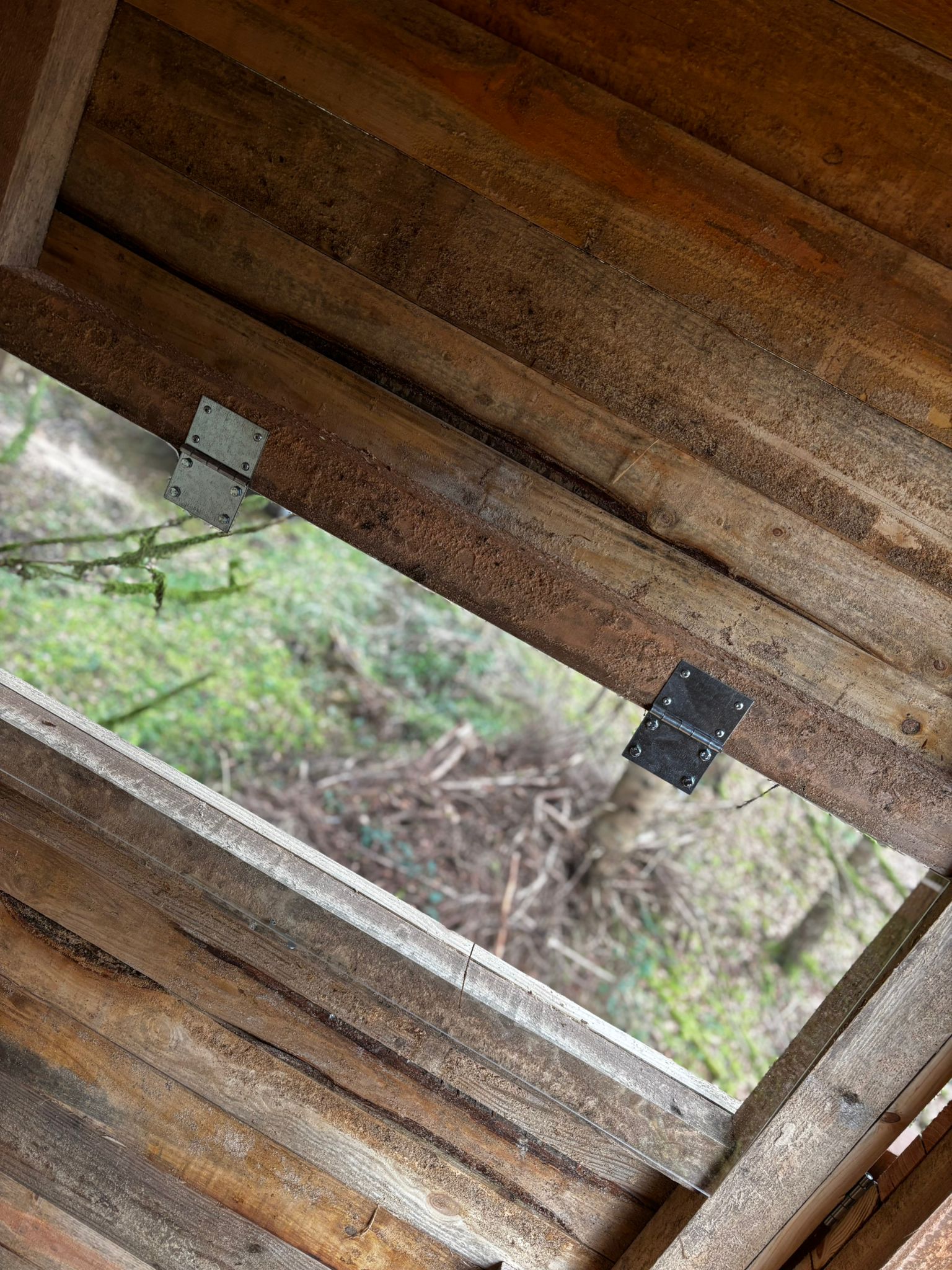 Hochsitze Kanzel Hochsitzkanzel Jagdkanzel – Bild 5